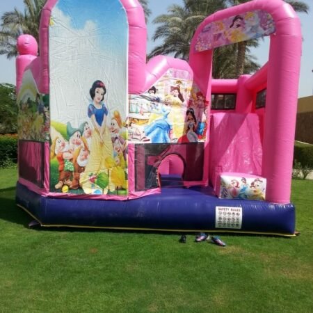 نطاطة برنسيس