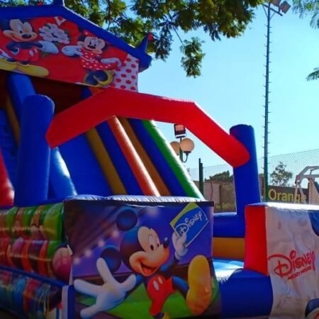زحليقه ميكى ومينى